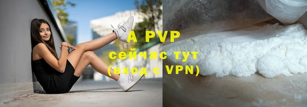 ГАЛЛЮЦИНОГЕННЫЕ ГРИБЫ Майский