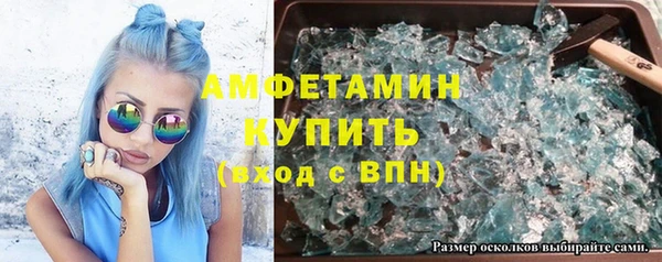 ПСИЛОЦИБИНОВЫЕ ГРИБЫ Вяземский