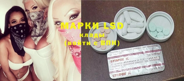 ПСИЛОЦИБИНОВЫЕ ГРИБЫ Вяземский