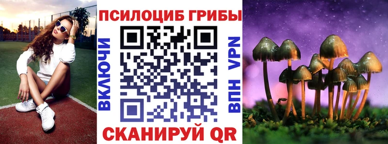 Псилоцибиновые грибы мицелий  где найти наркотики  Могоча 